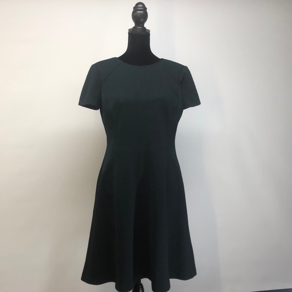 Ralph Lauren Fit & Flare Dress